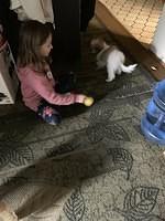 IMG 0170