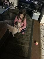 IMG 0179