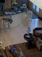 IMG 0353