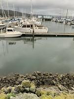 IMG 0417