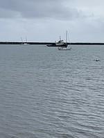 IMG 0419