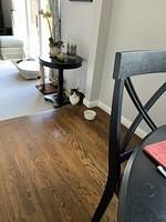 IMG 0447