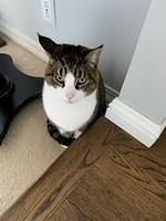 IMG 0448
