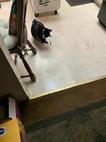 IMG 0511