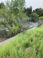 IMG 0522