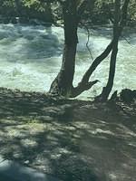 IMG 0777