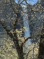 IMG 0806