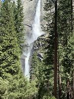 IMG 0856