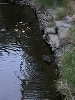 IMG 0898