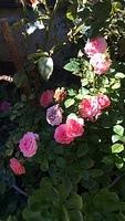 30E22136-AA69-41B5-9A7D-BCD89EF7E41A