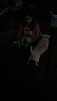 IMG 0174