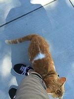 IMG 3674