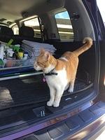 IMG 3677
