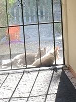 IMG 3683