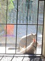 IMG 3688