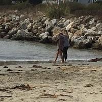 IMG 3689