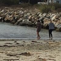 IMG 3690