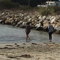 IMG 3691