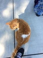 IMG 3721