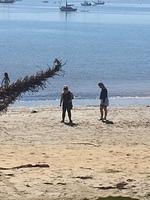 IMG 3785