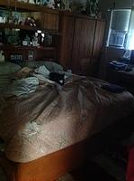 IMG 3798