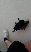 IMG 3871