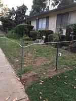 IMG 3973