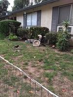 IMG 3975