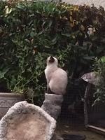 IMG 3979