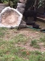 IMG 3983