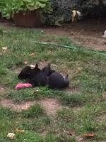 IMG 3986