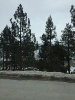 IMG 4039