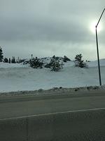 IMG 4048
