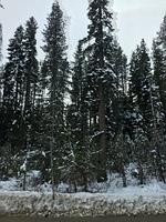 IMG 4054