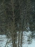 IMG 4058