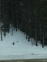 IMG 4061