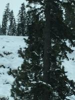 IMG 4067