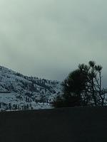 IMG 4079