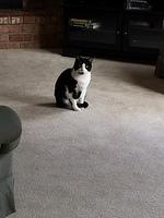 IMG 4094