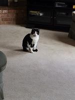 IMG 4095