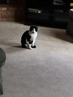 IMG 4096