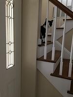 IMG 4098