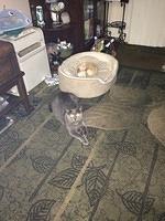 IMG 4120