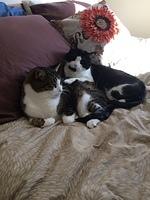 IMG 4175