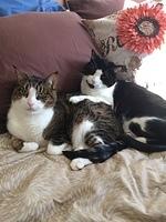 IMG 4176