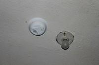 IMG 4335