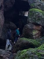 IMG 4380