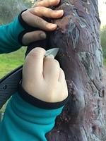 IMG 4441
