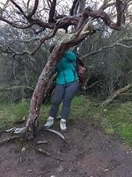 IMG 4447