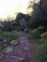 IMG 4457